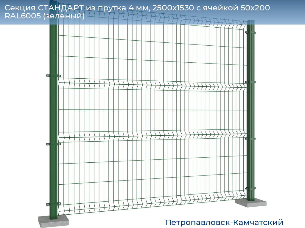 Секция СТАНДАРТ из прутка 4 мм, 2500x1530 с ячейкой 50х200 RAL6005 (зеленый), petropavlovsk-kamchatskiy.doorhan.ru