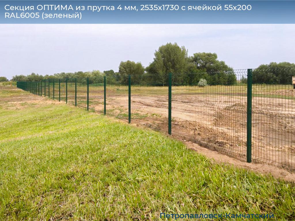 Секция ОПТИМА из прутка 4 мм, 2535x1730 с ячейкой 55х200 RAL6005 (зеленый), petropavlovsk-kamchatskiy.doorhan.ru