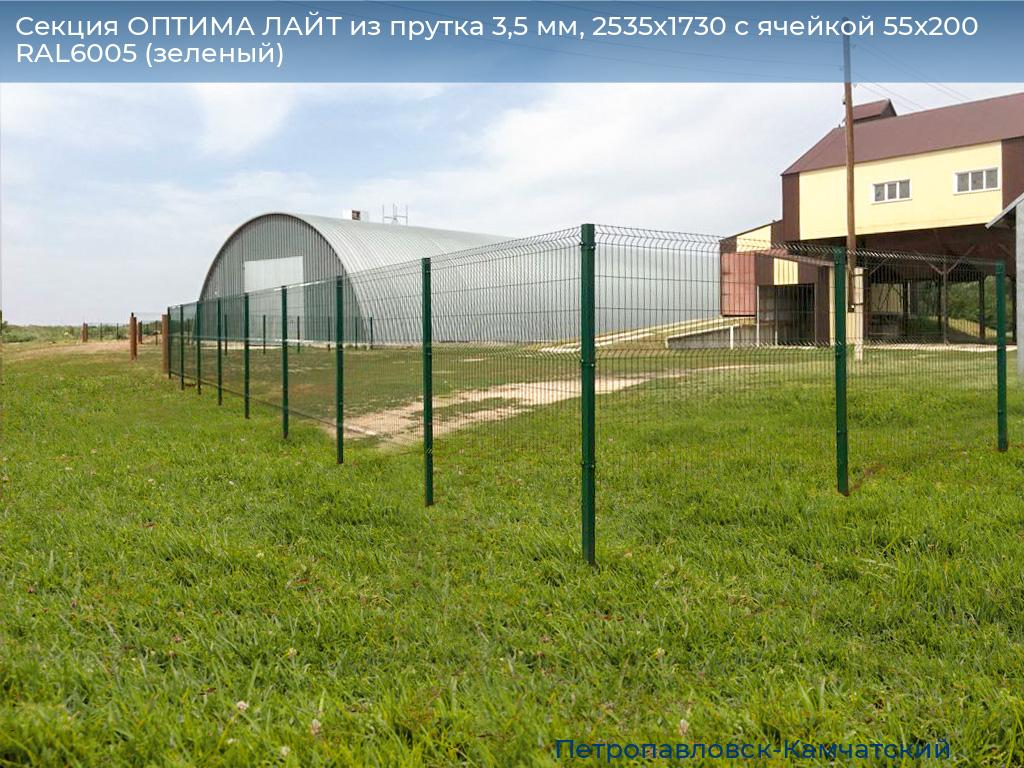 Секция ОПТИМА ЛАЙТ из прутка 3,5 мм, 2535x1730 с ячейкой 55х200 RAL6005 (зеленый), petropavlovsk-kamchatskiy.doorhan.ru