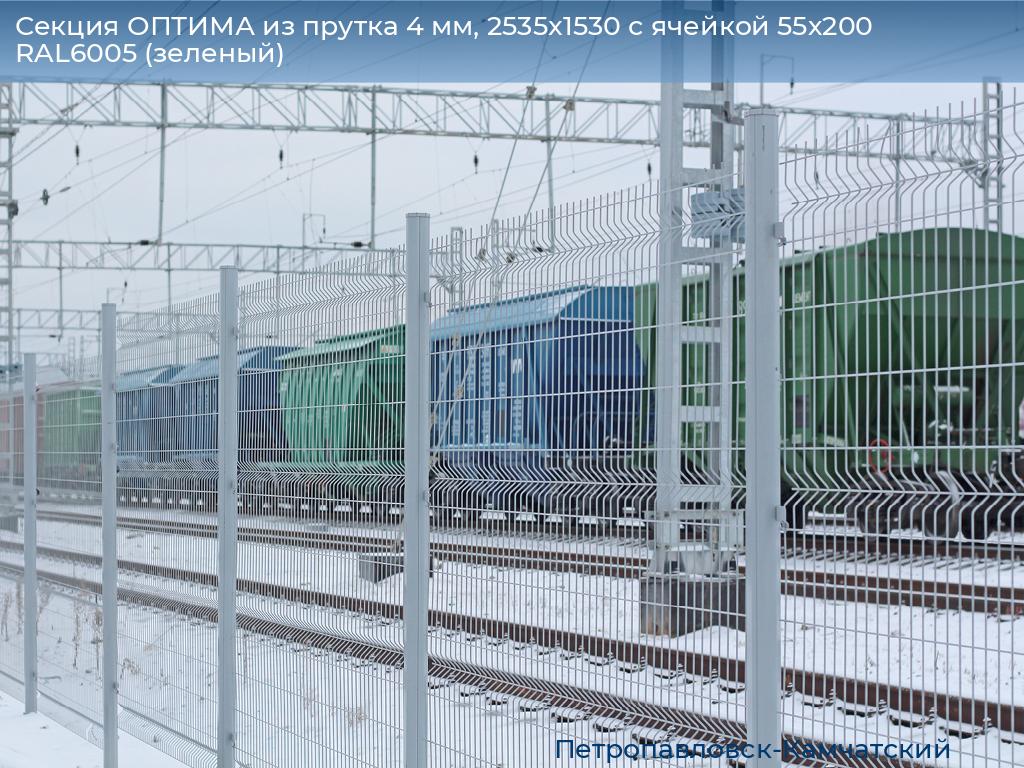 Секция ОПТИМА из прутка 4 мм, 2535x1530 с ячейкой 55х200 RAL6005 (зеленый), petropavlovsk-kamchatskiy.doorhan.ru