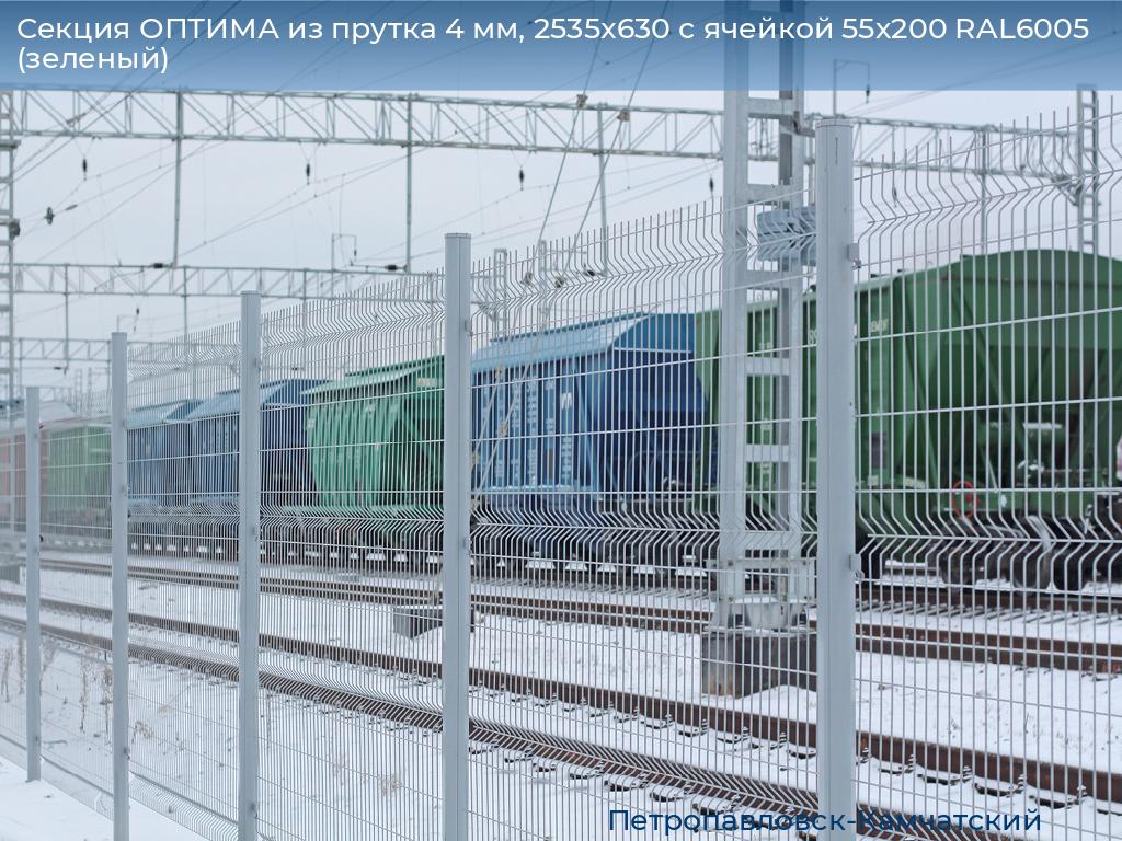 Секция ОПТИМА из прутка 4 мм, 2535x630 с ячейкой 55х200 RAL6005 (зеленый), petropavlovsk-kamchatskiy.doorhan.ru