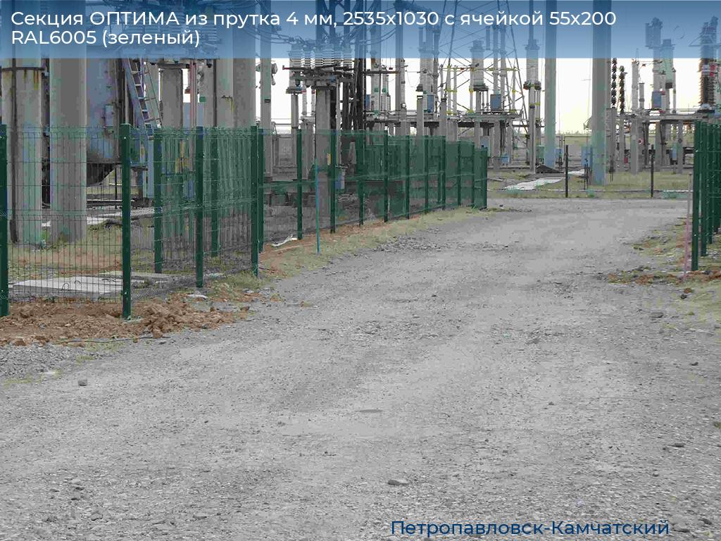 Секция ОПТИМА из прутка 4 мм, 2535x1030 с ячейкой 55х200 RAL6005 (зеленый), petropavlovsk-kamchatskiy.doorhan.ru