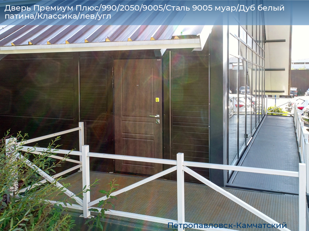 Дверь Премиум Плюс/990/2050/9005/Сталь 9005 муар/Дуб белый патина/Классика/лев/угл, petropavlovsk-kamchatskiy.doorhan.ru