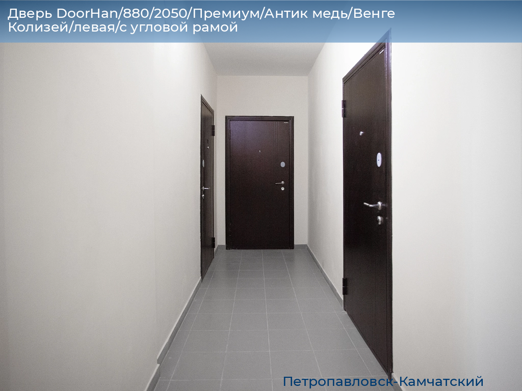 Дверь DoorHan/880/2050/Премиум/Антик медь/Венге Колизей/левая/с угловой рамой, petropavlovsk-kamchatskiy.doorhan.ru