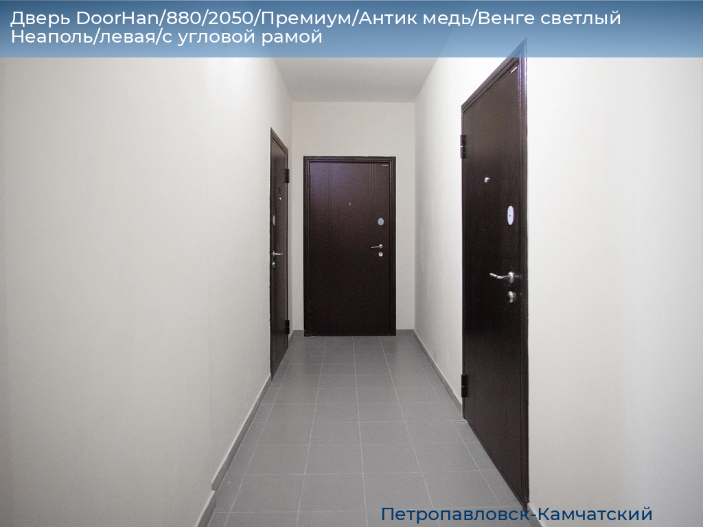 Дверь DoorHan/880/2050/Премиум/Антик медь/Венге светлый Неаполь/левая/с угловой рамой, petropavlovsk-kamchatskiy.doorhan.ru