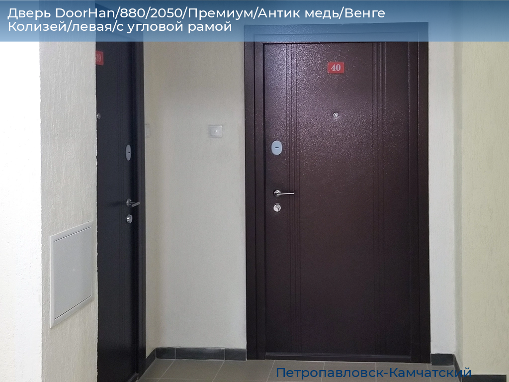 Дверь DoorHan/880/2050/Премиум/Антик медь/Венге Колизей/левая/с угловой рамой, petropavlovsk-kamchatskiy.doorhan.ru