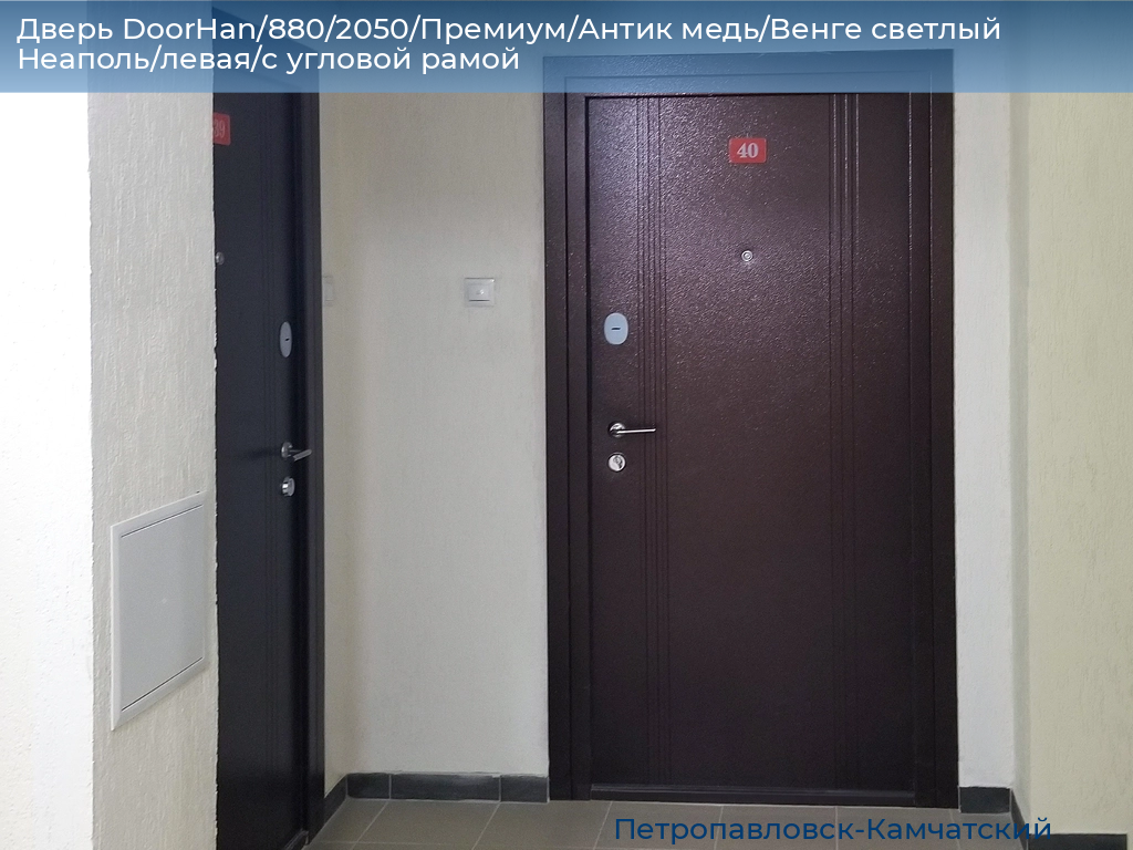 Дверь DoorHan/880/2050/Премиум/Антик медь/Венге светлый Неаполь/левая/с угловой рамой, petropavlovsk-kamchatskiy.doorhan.ru