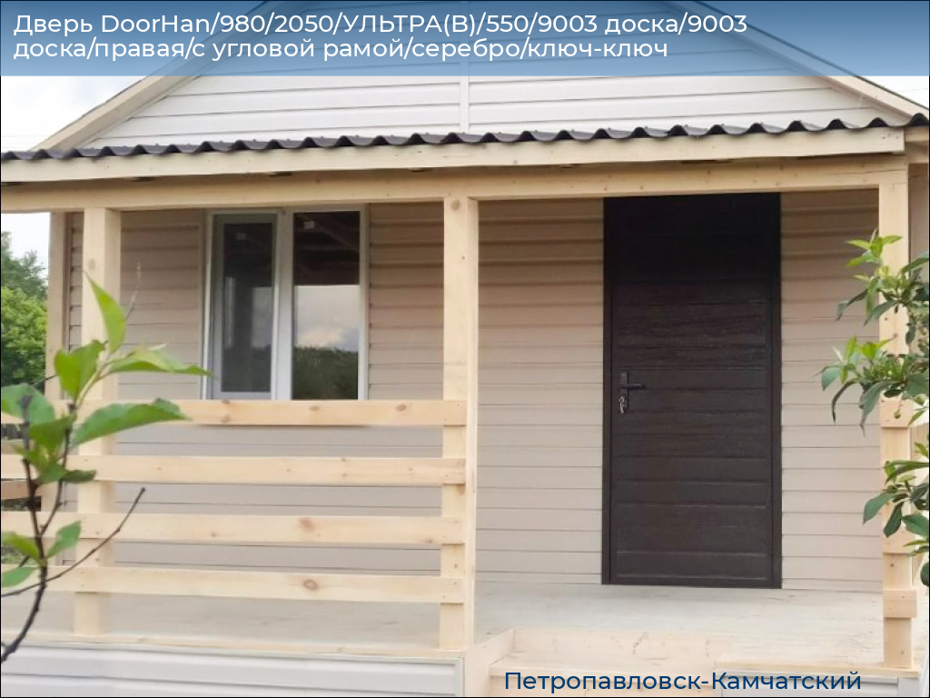 Дверь DoorHan/980/2050/УЛЬТРА(B)/550/9003 доска/9003 доска/правая/с угловой рамой/серебро/ключ-ключ, petropavlovsk-kamchatskiy.doorhan.ru